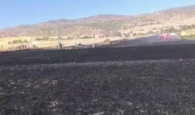 Diyarbakır'da 100 dönümlük alan alevlere teslim oldu