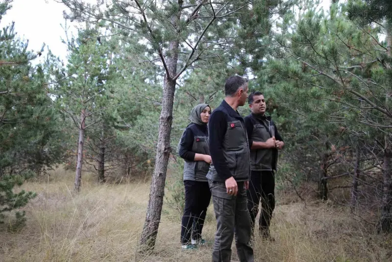Kars Kent Ormanı Millet Ormanı Oluyor: Yeni Yeşil Yaşam Alanı İçin Çalışmalar Başladı