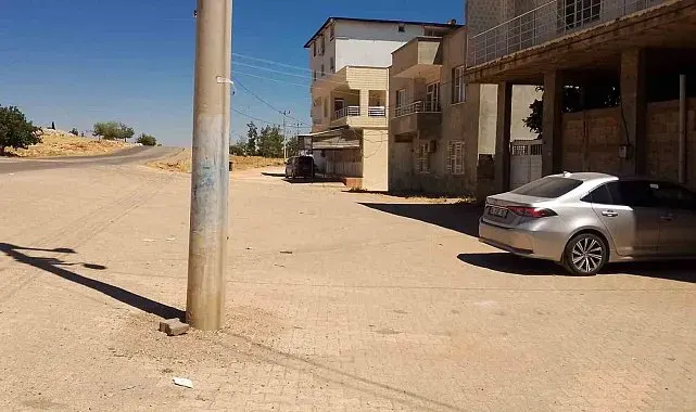 Çocuğu köpekten kurtaran mahalleli konuştu
