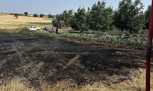 Bandırma'da çıkan anız yangını büyümeden söndürüldü