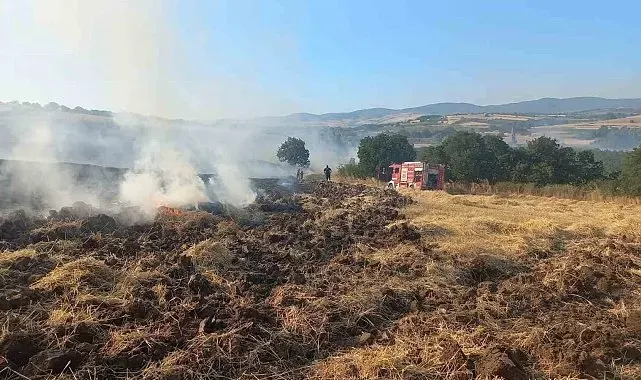 Bandırma'da buğday tarlasında çıkan yangın ekiplerin müdahalesiyle söndürüldü