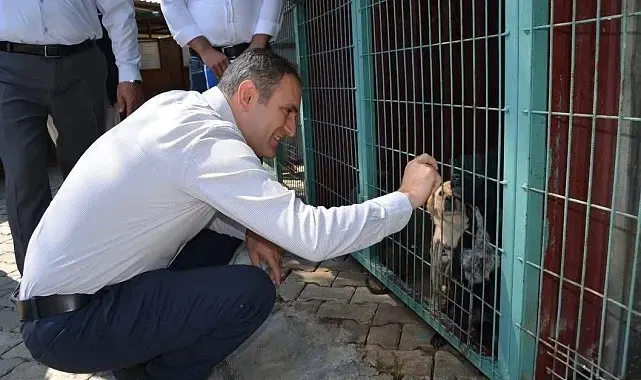Bayındır'da hayvan bakım evi ve doğal yaşam alanında inceleme
