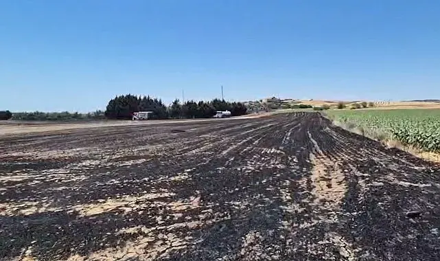 Silivri'de elektrik direği kesimi sırasında yangın: Ekili araziler zarar gördü