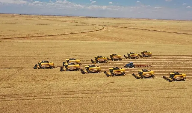 Dünyanın en büyük tarım arazisinde 238 biçerdöver ile hasat