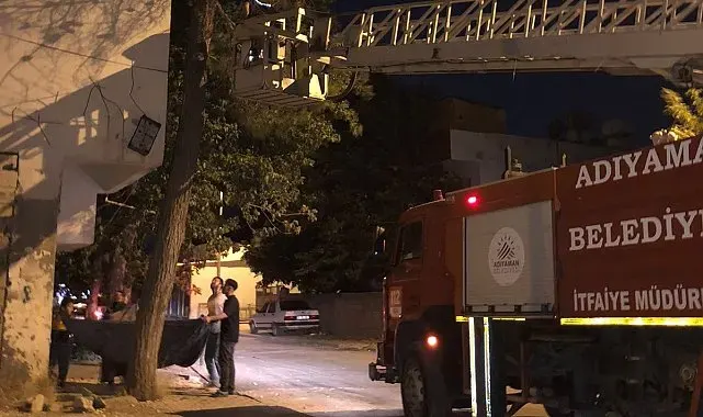 Ağaçta mahsur kalan kediyi itfaiye ekipleri kurtardı