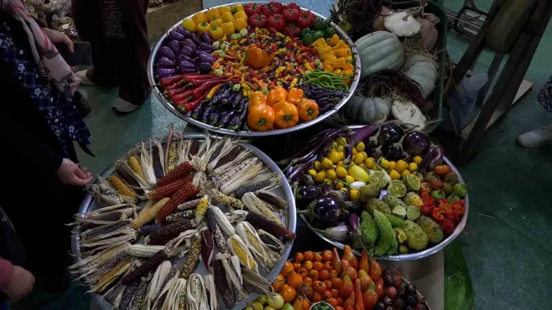 Rize'de Düzenlenen Altıncı GastroRize Gastronomi Festivali Ziyaretçilerini Ağırlıyor