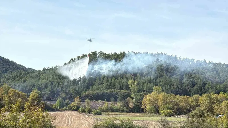 Çanakkale’de Tarım Arazisinde Çıkan ve Ormana Sıçrayan Yangın Söndürüldü