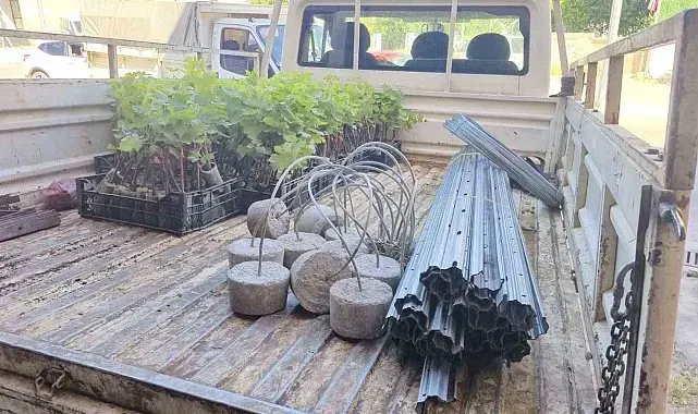 Dinar'da Bağcılık Projesi başladı