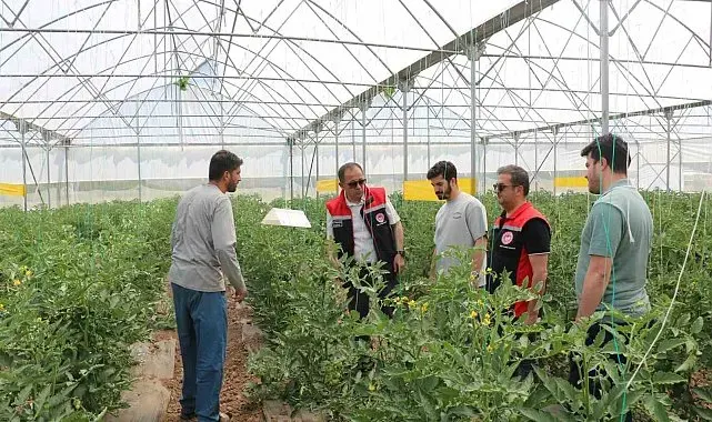 Erzincan'da seracılık faaliyetleri yerinde incelendi