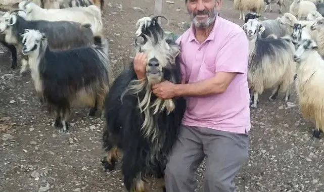 Şavşat Deresi'nde kaybolan babanın cansız bedenine ulaşıldı