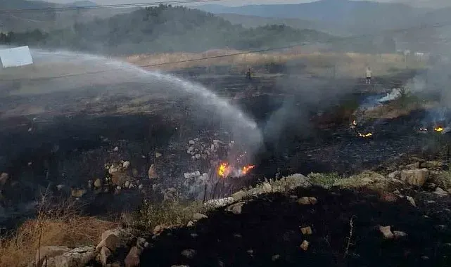 Bilecik'te otluk alanda çıkan yangın paniğe neden oldu