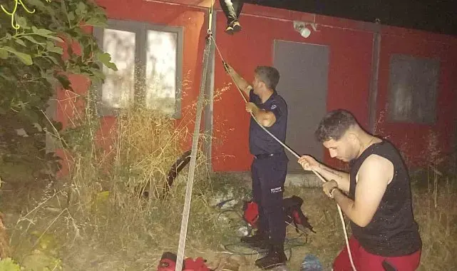 Balıkesir'de kuyuya düşen yavru kedi kurtarıldı