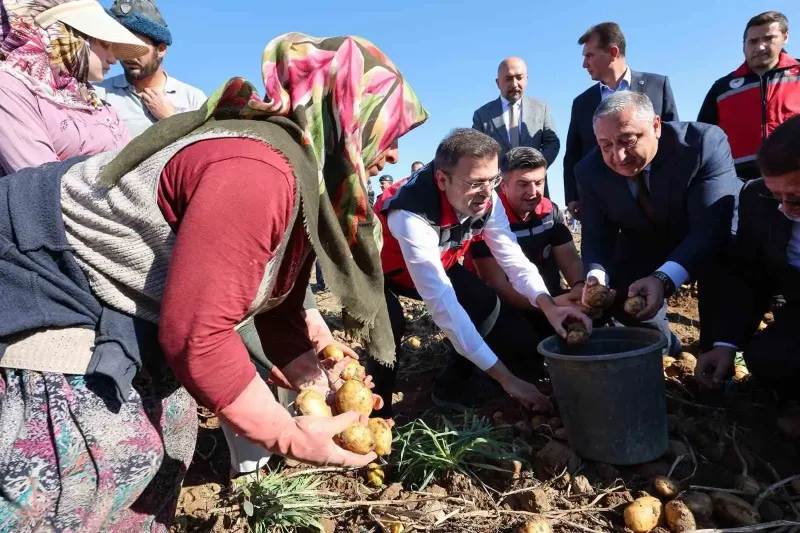 Niğde'de Yerli Patates Çeşitlerinde Yüksek Verim Sevinci Yaşandı