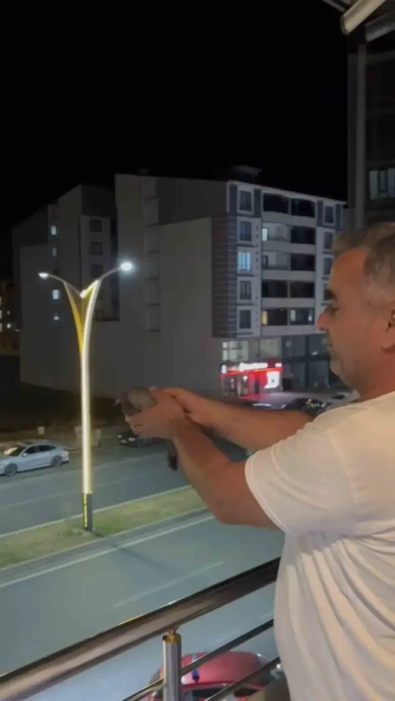 Bingöl'de Havalandırma Boşluğunda Mahsur Kalan Güvercinler İtfaiye Tarafından Kurtarıldı