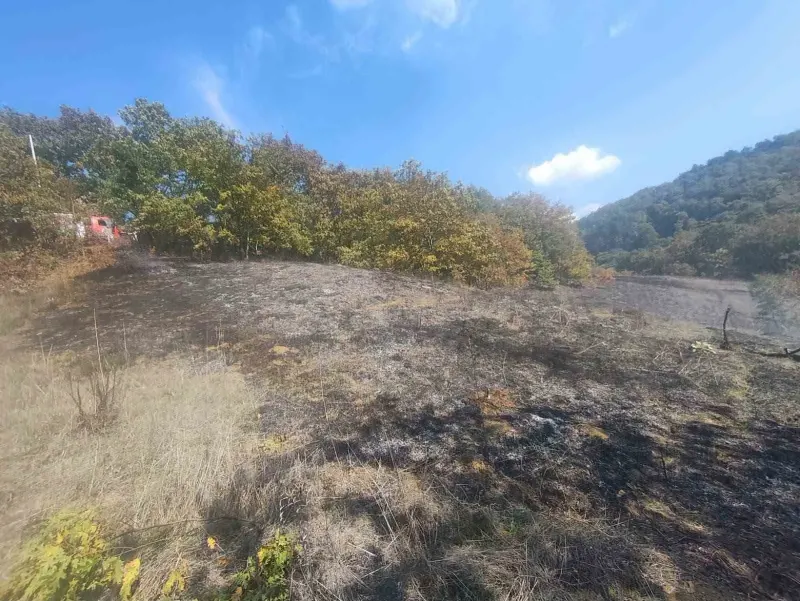 Bolu Mudurnu'da Otluk Alanda Çıkan Yangın Söndürüldü