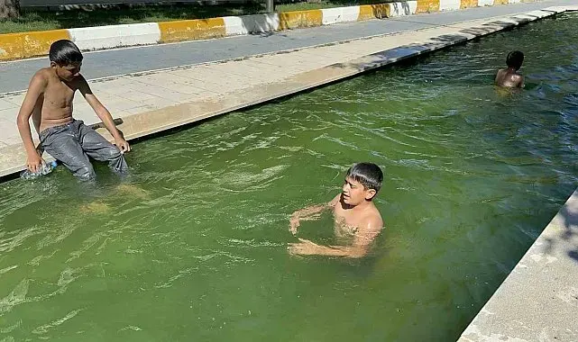 Sıcaktan bunalan ve süs havuzuna giren çocuklardan "zabıta" itirafı