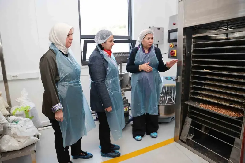 Düzce'de Kadın Girişimciden Yenilikçi Tirmis Bazlı Fonksiyonel Gıda Üretimi