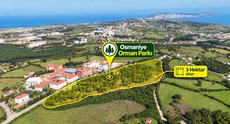 Sinop’ta Dev Osmaniye Orman Parkı Projesinde Sona Yaklaşılıyor