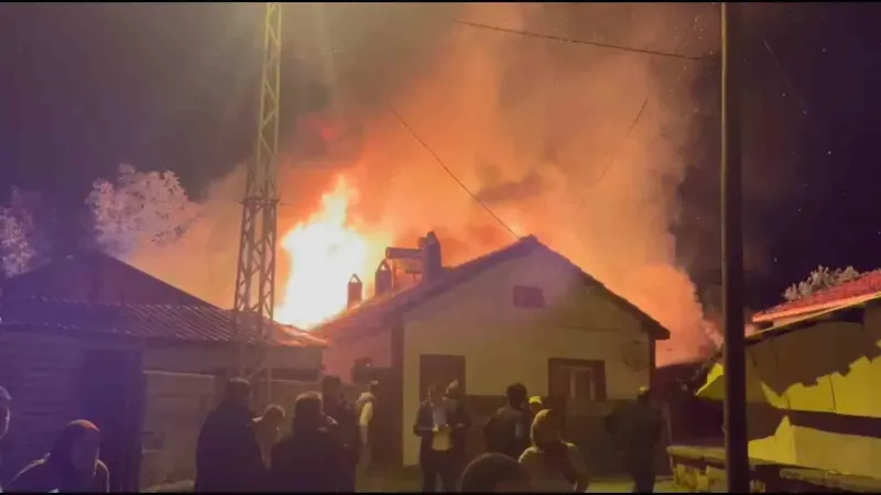 Bolu'daki Köyde Çıkan Yangında Dört Yapı ve Traktör Kül Oldu