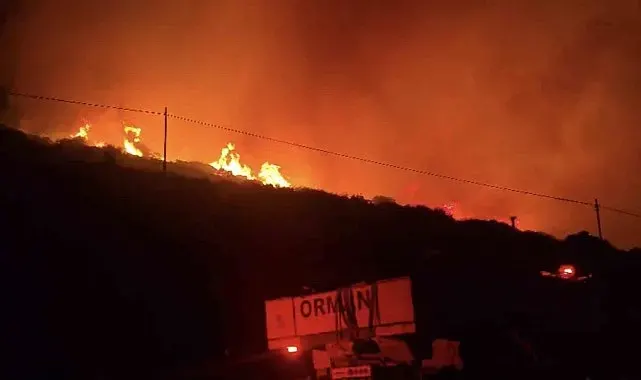 İzmir'de makilik alandaki yangın kontrol altında