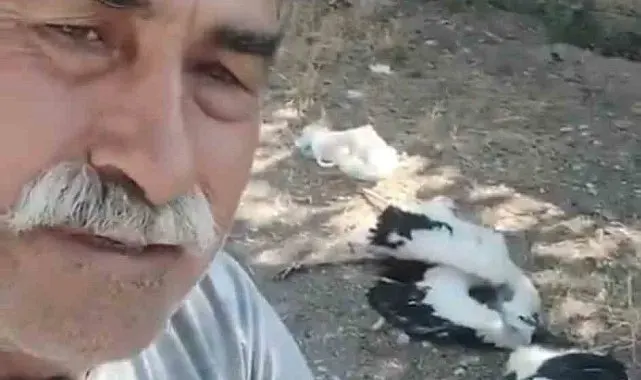 Bahçesindeki leyleklerin öldüğünü görünce gözyaşlarına boğuldu