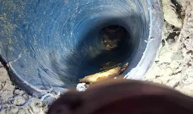 Kuyuya düşen yavru köpek kurtarıldı