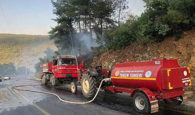 Menteşe'de orman yangını büyümeden söndürüldü