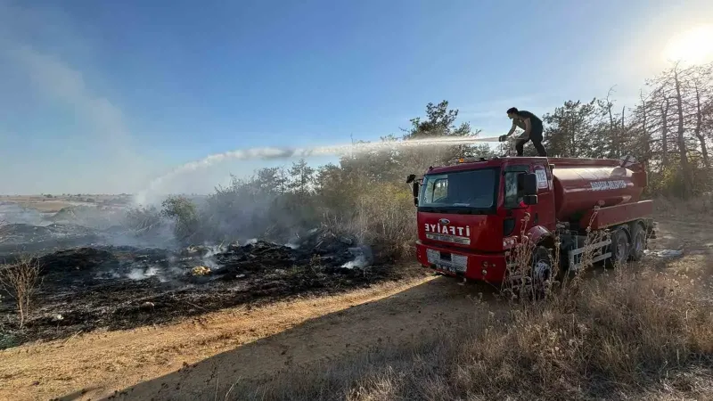 Kırklareli Babaeski'de Çöplükte Başlayan Yangın Ormana Sıçradı