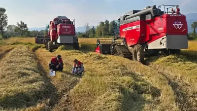 Düzce'de Verimli Hasat İçin Biçerdöver Denetimleri Aralıksız Sürüyor