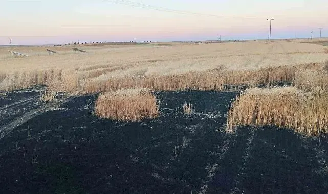 Kulu'da arpa ekili tarlada yangın