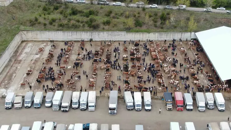 Kastamonu Genelinde Şap Hastalığı Nedeniyle Canlı Hayvan Pazarları Kapatıldı