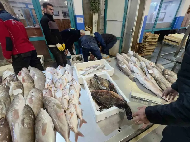 İzmir'de Gece Yarısı Balık Hali Baskını: Yasa Dışı Avlanan Ürünlere El Konuldu