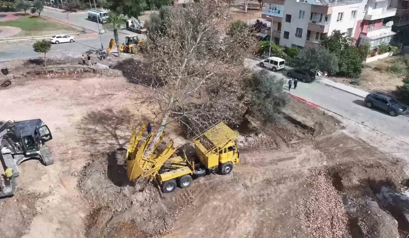 Didim Belediyesinden Çevre Dostu Kaykay Parkı Adımı