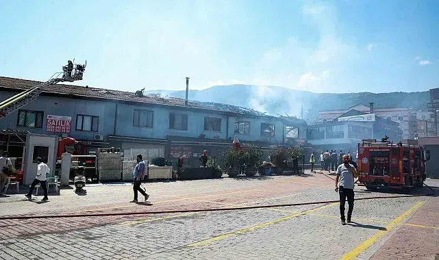 Büyükşehir'den Kayhan'daki yangına hızlı müdahale