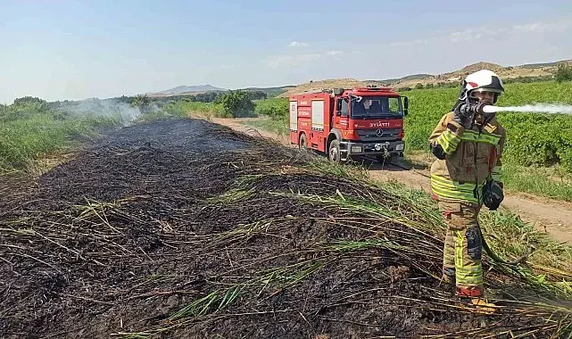 Aşırı sıcaklar Manisa'yı ateş çemberine çevirdi