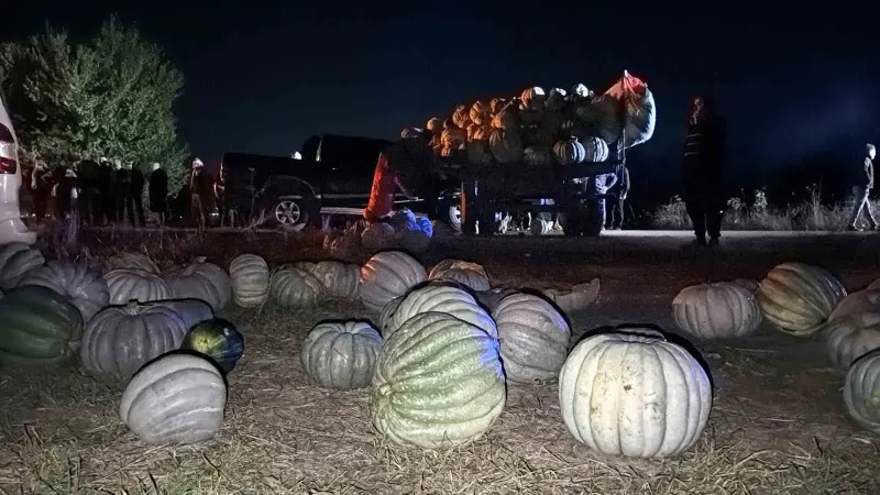 Bolu'da Kabak Yüklü Traktör Ve Pikap Çarpıştı: 4 Yaralı