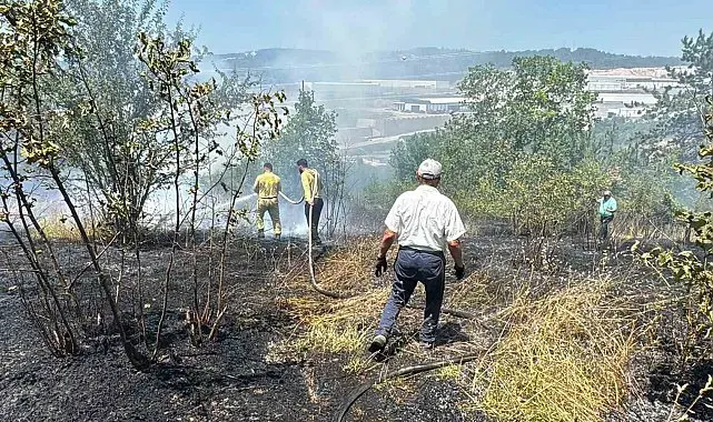 Anız yangını kontrolden çıkıp ormana sıçradı