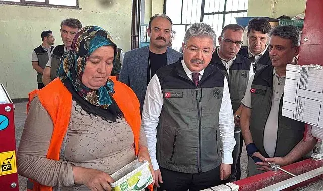 Eskişehir'den yangın bölgelerine gönderilen milyonlarca fidan 'nefes' olacak