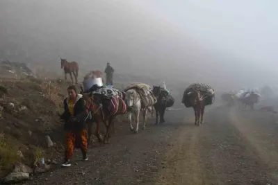 Şırnak'ta Soğuk Hava Etkisiyle Göçerler Yayladan Ayrılmaya Başladı