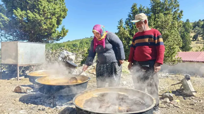 Toroslar’ın Zirvesinde Geleneksel Harnup Pekmezi Mesaisi