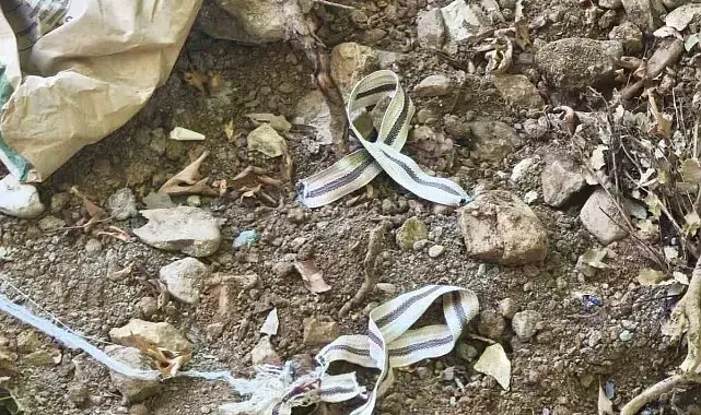 Devriye gezen jandarma son anda fark etti, bir hayat kurtuldu