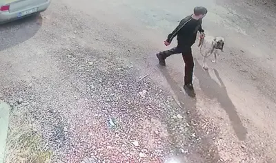 Siverek te Evin Önünden Kangal Cinsi Köpek Çalındı