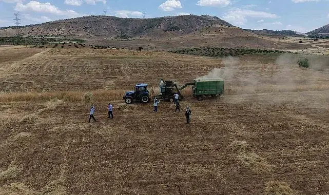 Gercüş'te kavurucu sıcakta 'oyun havalı' hasat