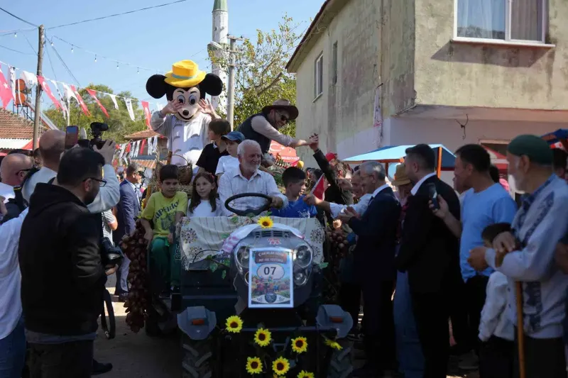 Kocaeli'nde Patpatlar Gelin Gibi Süsletilerek Renkli Festivalde Görücüye Çıktı