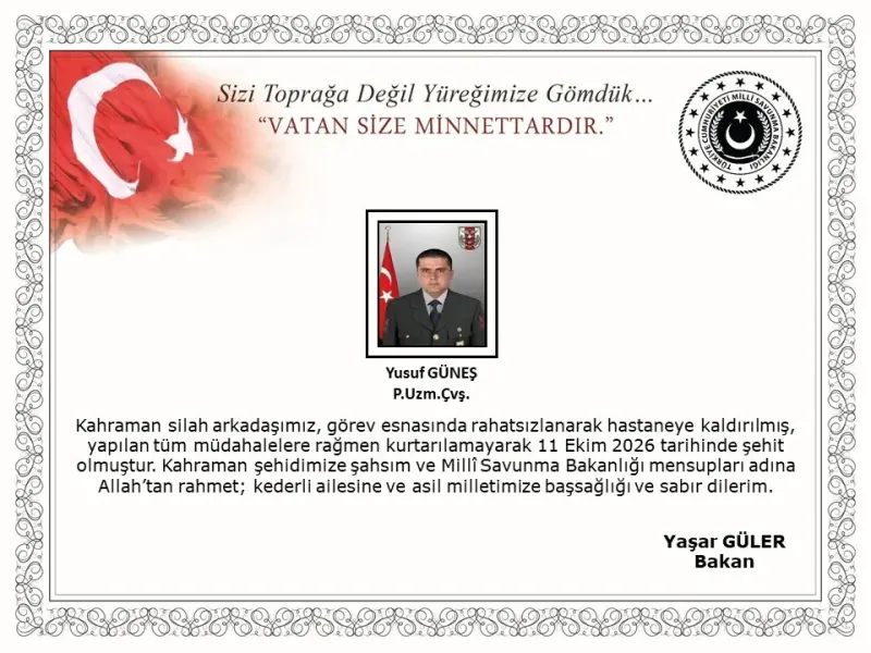 Mehmetçik Görev Başında Rahatsızlanarak Şehit Düştü