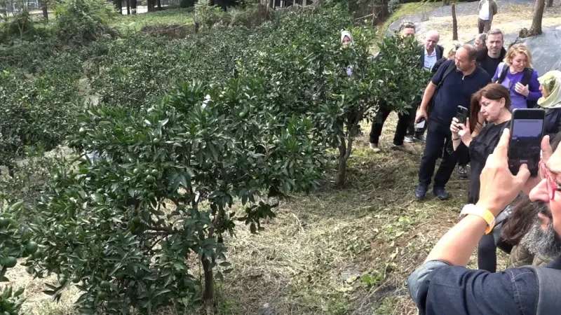 Rize Gastronomisi Yöresel Lezzetleri Sağlık ve Turizmle Buluşturuyor