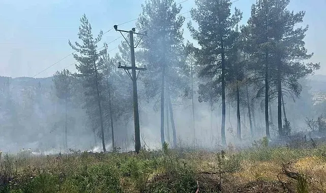 Orhaneli'de orman yangını