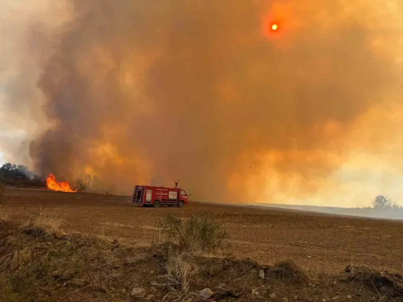 Edirne'de Çıkan Anız Yangını Doğa Hayatını Tehdit Etti