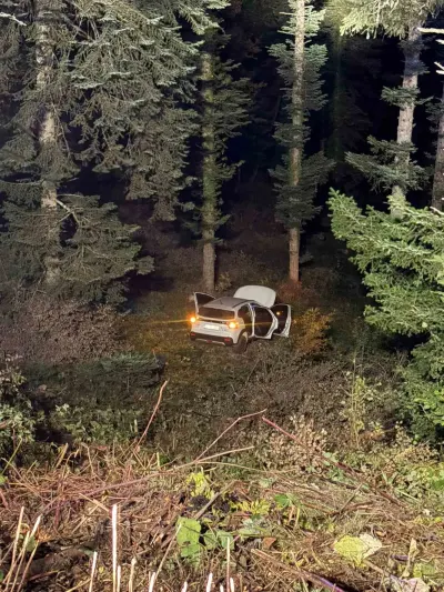 Bolu Çıkınlar Yaylası'nda Otomobil Uçuruma Yuvarlandı: 4 Kişi Yaralandı