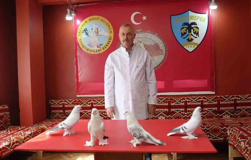 Emekli Astsubay Ahmet Özkalıpçı Güvercinleri İçin Ev Kiraladı